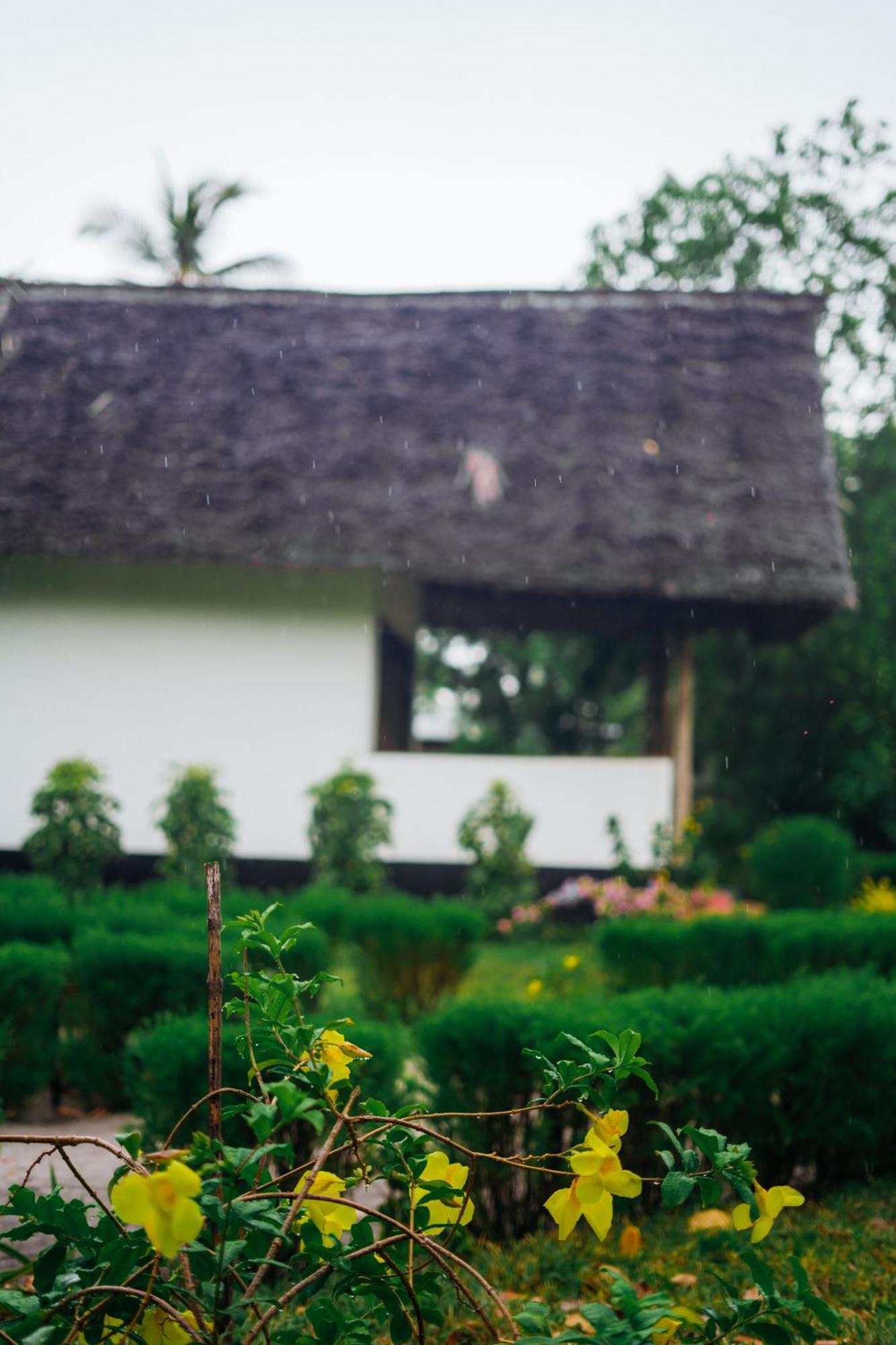 Maisara Mafia Beach Lodge Кіліндоні Екстер'єр фото